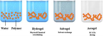 Agarose, Alginate and Chitosan Nanostructured Aerogels for Pharmaceutical Applications: A Short Review